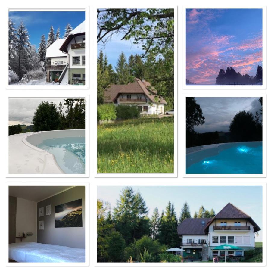 Herrischried B & B Der Waldvogel מראה חיצוני תמונה