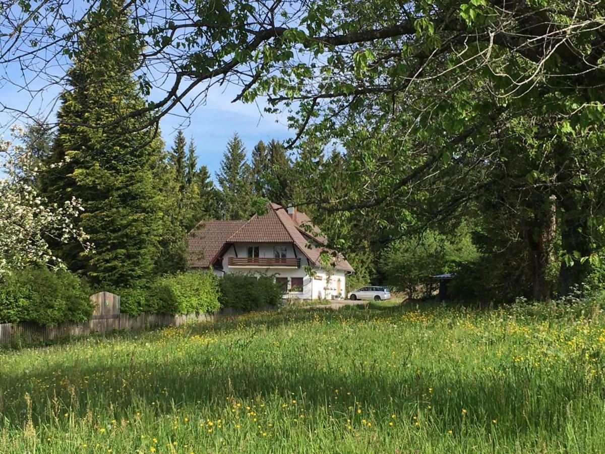 Herrischried B & B Der Waldvogel מראה חיצוני תמונה