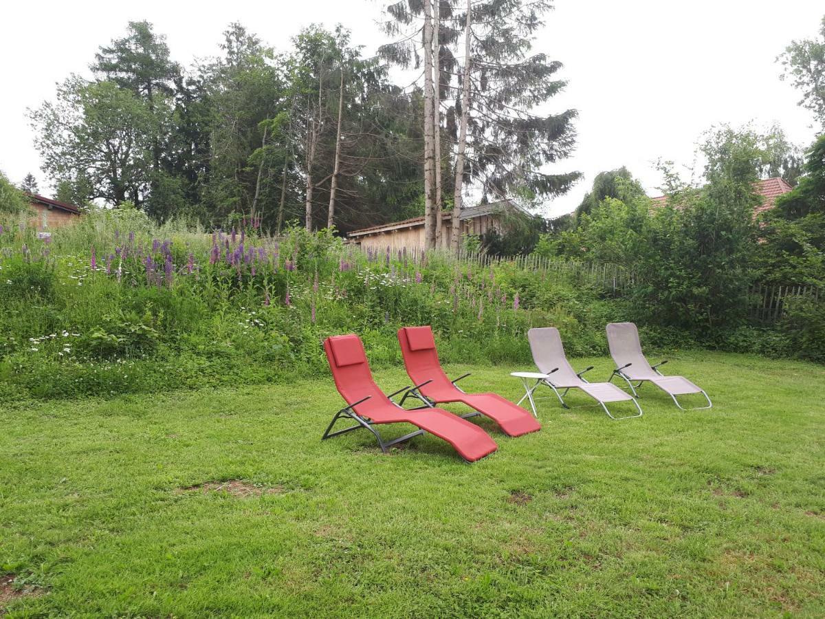 Herrischried B & B Der Waldvogel מראה חיצוני תמונה