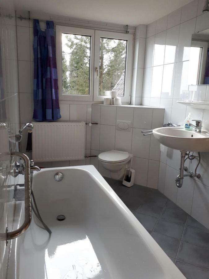 Herrischried B & B Der Waldvogel מראה חיצוני תמונה